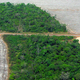 Illustration for article titled China Wants to Build a 3000-Mile Railway Through the Amazon